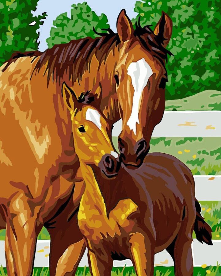 Painting Expert Schilderen op nummer Volwassenen Schilderen op nummer Kinderen Paard en Veulen 40x50cm Exclusief Lijst (24 kleurtjes)