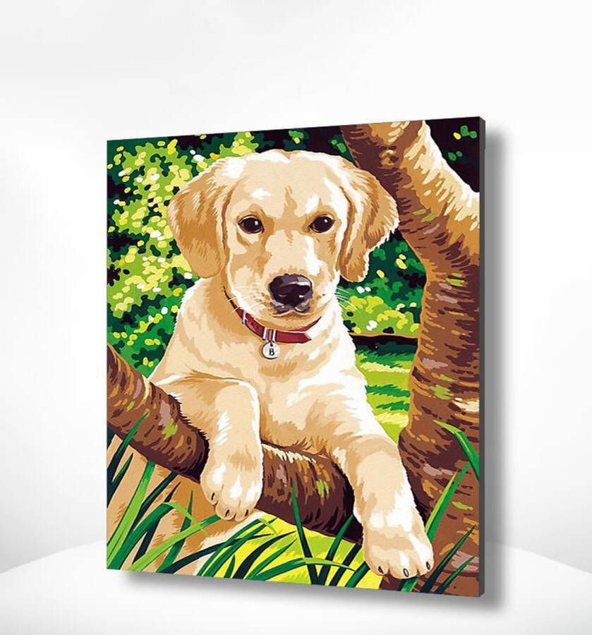 Painting Expert Schilderen op nummer Volwassenen Schilderen op nummer Kinderen Puppy Labrador 40x50cm Exclusief Lijst (24 kleurtjes)