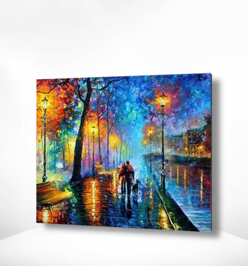 Painting Expert Schilderen op nummer Volwassenen Schilderen op nummer Kinderen Stad in de Nacht 40x50cm Exclusief Lijst (24 kleurtjes)