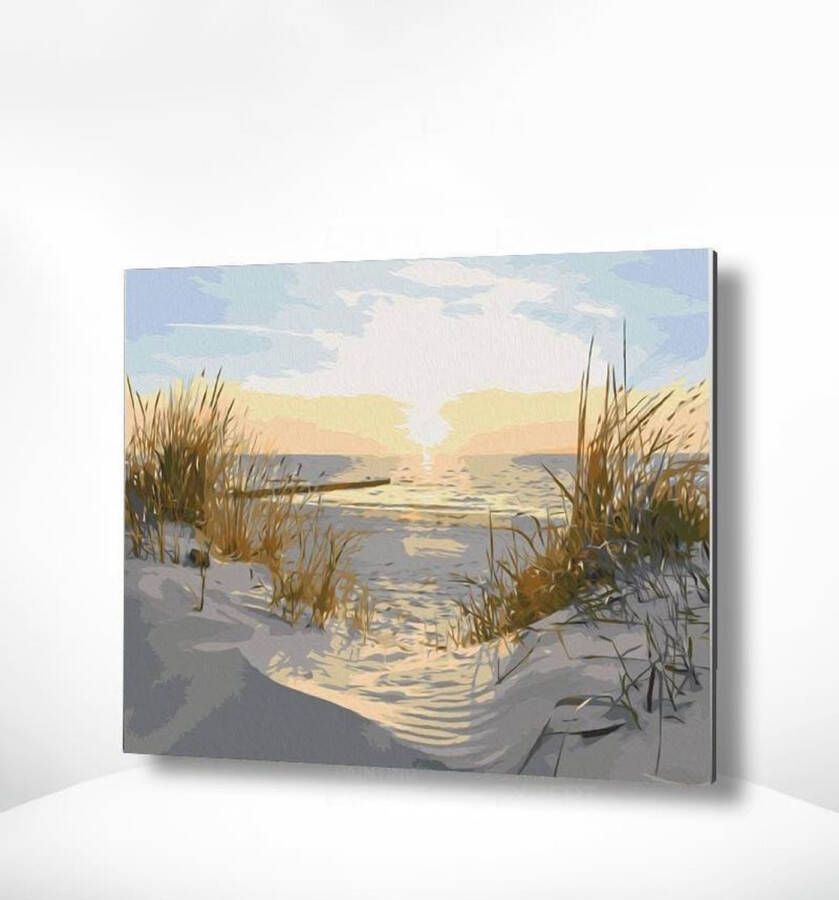 Painting Expert Schilderen op nummer Volwassenen Schilderen op nummer Kinderen Strand met Zon 40x50cm Exclusief Lijst (24 kleurtjes)