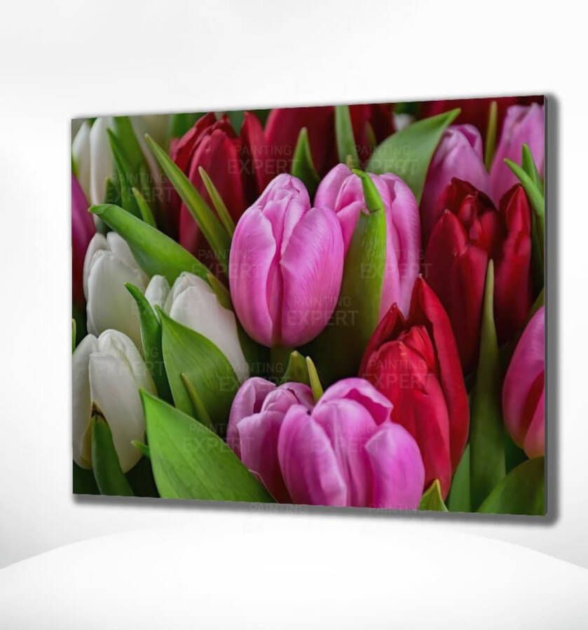 Painting Expert Schilderen op nummer Volwassenen Schilderen op nummer Kinderen Tulpen 40x50cm Exclusief Lijst (24 kleurtjes)