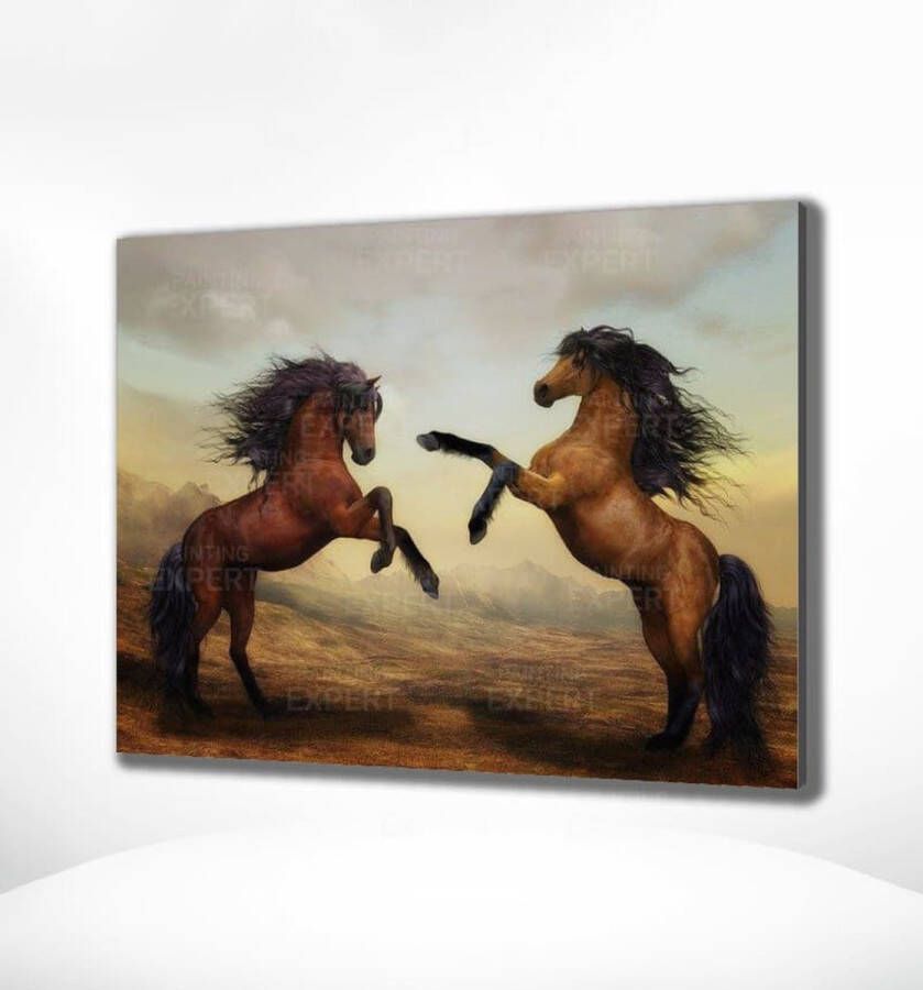 Painting Expert Schilderen op nummer Volwassenen Schilderen op nummer Kinderen Twee Paarden 40x50cm Exclusief Lijst (24 kleurtjes)