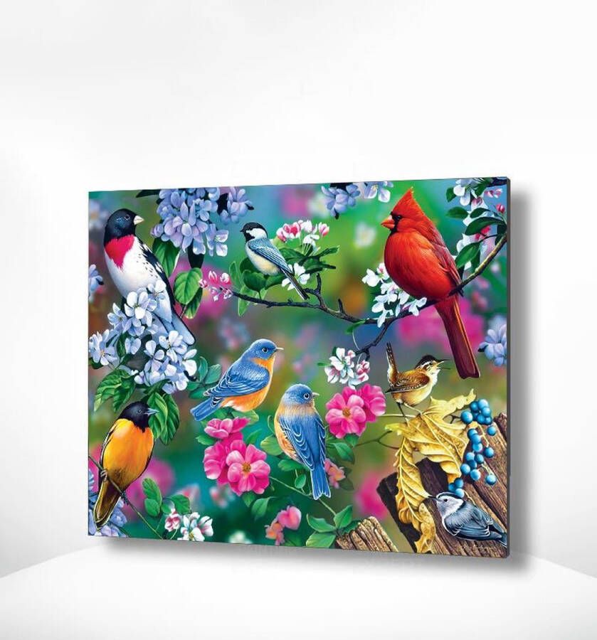 Painting Expert Schilderen op nummer Volwassenen Schilderen op nummer Kinderen Vogeltjes met Bloemetjes 40x50cm Exclusief Lijst (24 kleurtjes)