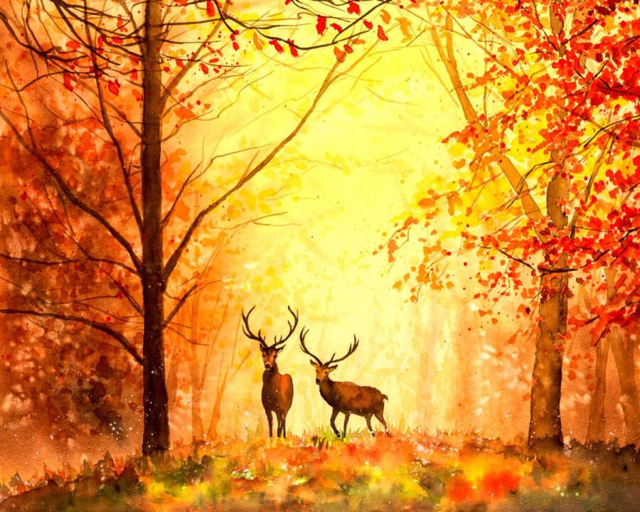 PaintingParadise Diamond painting Vierkante steentjes Diamond painting volwassenen Natuur Olieverf Hert Dieren Herfst Oranje Diamond painting pakket volledig 50x40 cm