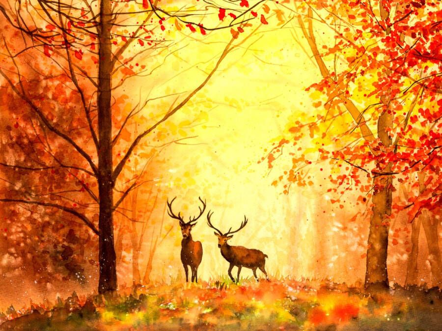 PaintingParadise Diamond painting Vierkante steentjes Diamond painting volwassenen Natuur Olieverf Hert Dieren Herfst Oranje Diamond painting pakket volledig 40x30 cm