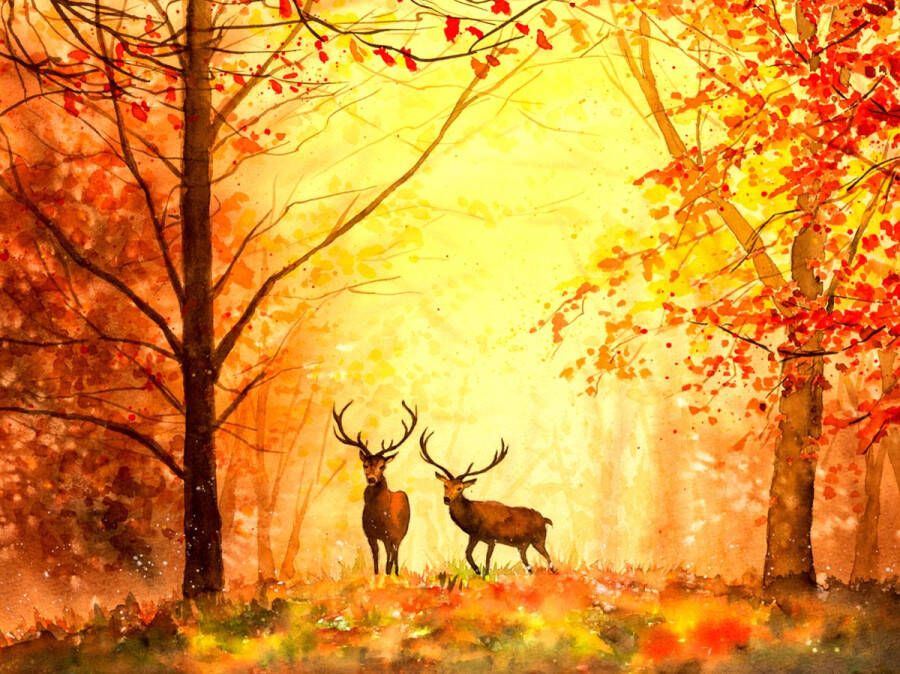 PaintingParadise Diamond painting Vierkante steentjes Diamond painting volwassenen Natuur Olieverf Hert Dieren Herfst Oranje Diamond painting pakket volledig 40x50 cm