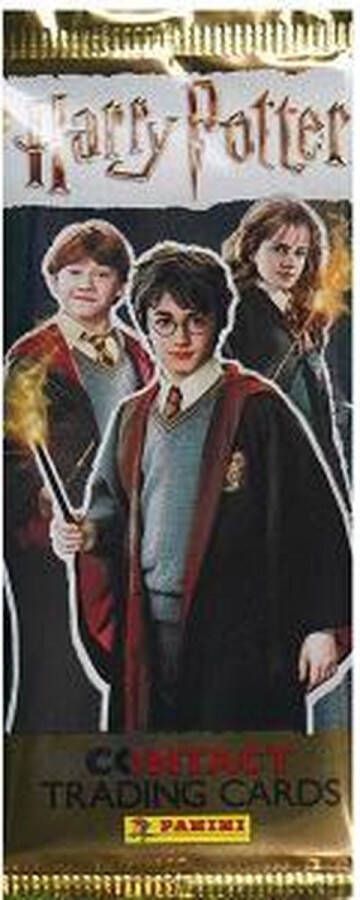 Panini Harry Potter TCG Booster