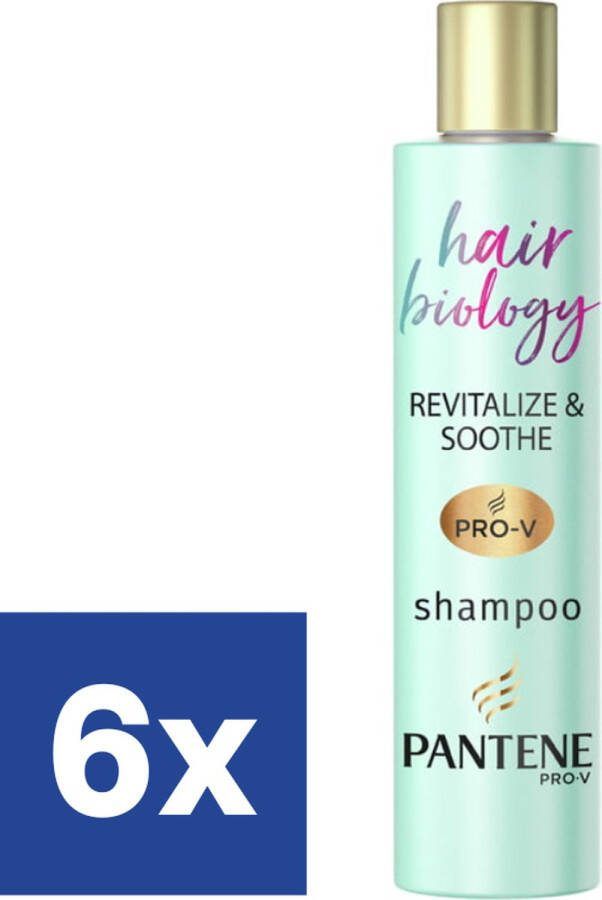 Pantene Hair Biology Revitalize & Soothe Shampoo 6 x 250 ml