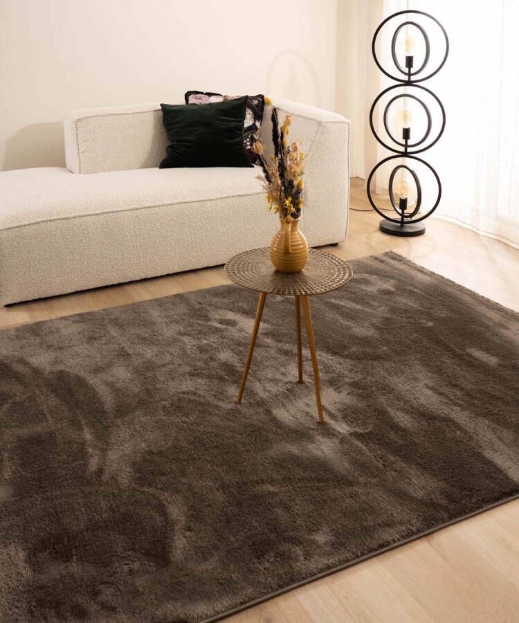 Paon Brillant Velours vloerkleed Flair taupe 160x230 cm