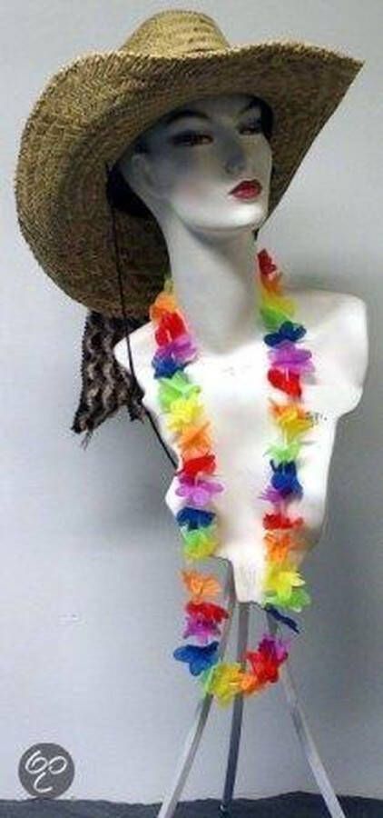 Partyproduct 2 stuks Hawaii krans multie kleurig