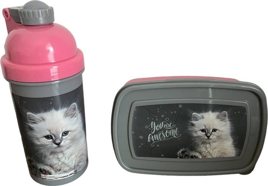 Paso waterfles en broodtrommel bidon lunchbox drinkfles 550 ml 18 5x13x6cm kat poes
