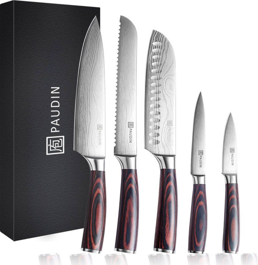 Paudin NS5 Professionele Messenset met Japans Design Set van 5 stuks Vlijmscherp Koksmes Broodmes Santoku Officemes en Schilmes Damascus Patroon