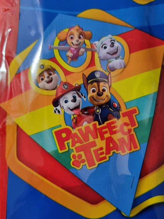 PAW Patrol Vlieger