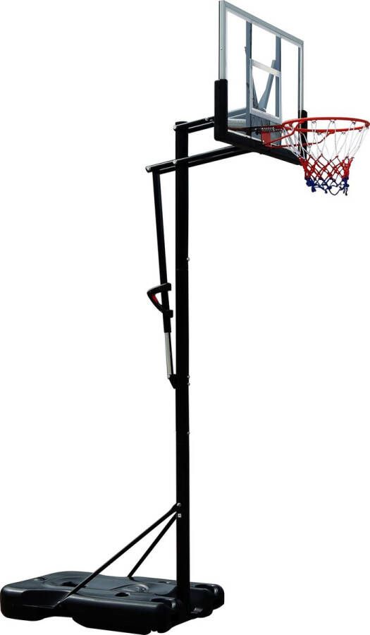 Pegasi Basketbalpaal Shooter 2.30 3.05m