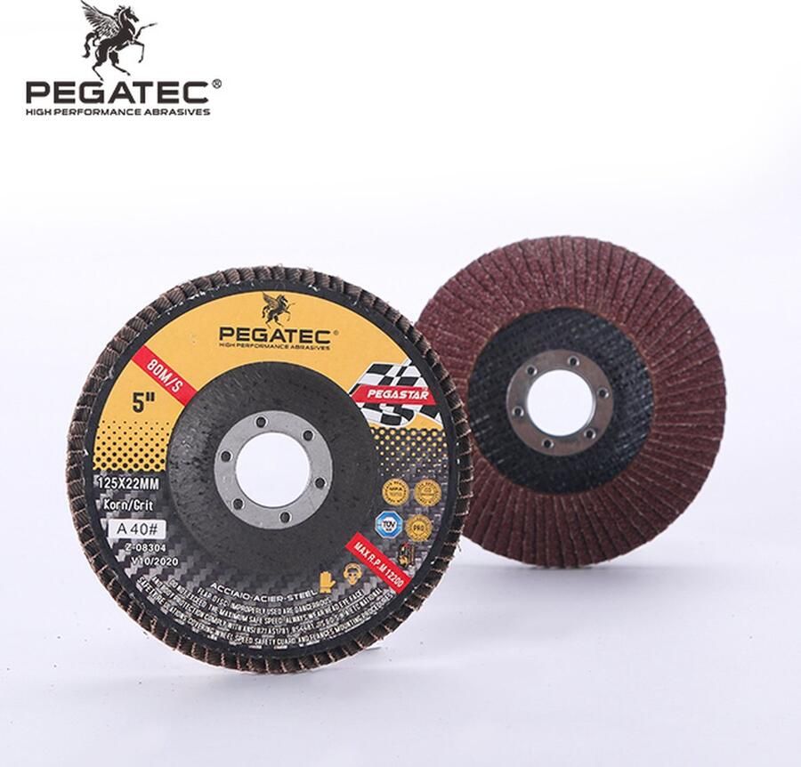 Pegatec High Performance 5 Stuks Lamellenschijven Schuurschijven Korrel 80 Aluminiumoxide Geschikt voor Hout en Metaal 125mm Asgat 22 2mm Voor Haakse Slijper Slijptol