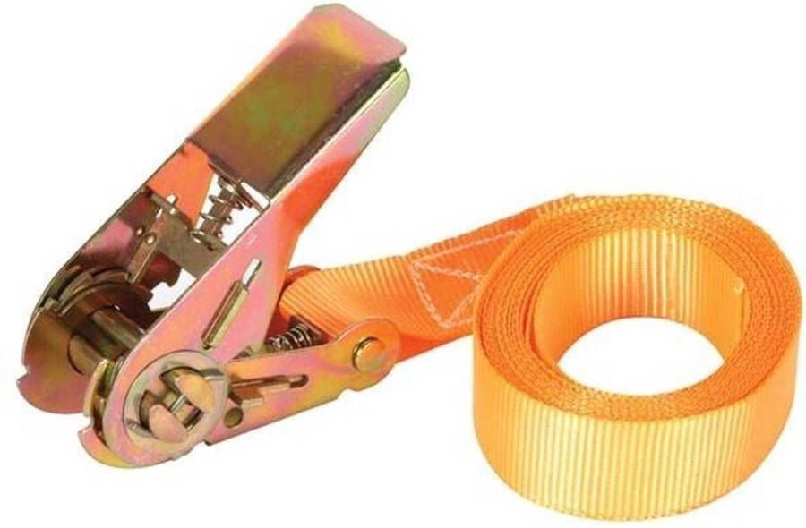 Perel Spanband eendelig met ratel voor het vastzetten van lichte ladingen max. 500 kg polyester oranje 3.6 m x 25 mm 1 stuk