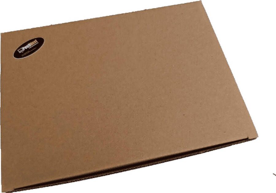 PestiNext Professionele Muizenval Voordeel Box 12 Stuks Muizenklemmen Muizenverjagers Ongediertebestrijding Effectief en Hygiënisch Voor binnen en buiten