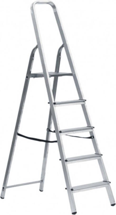 Petry Trapladder Huishoudtrap met 5 treden 150 kg