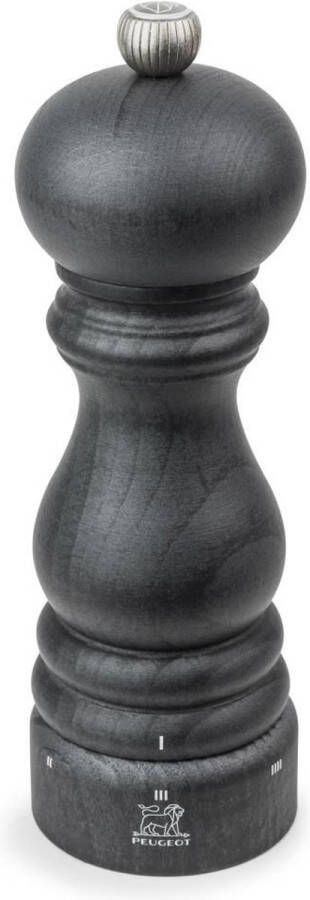 Peugeot Paris Graphite Zoutmolen U-select 18 cm