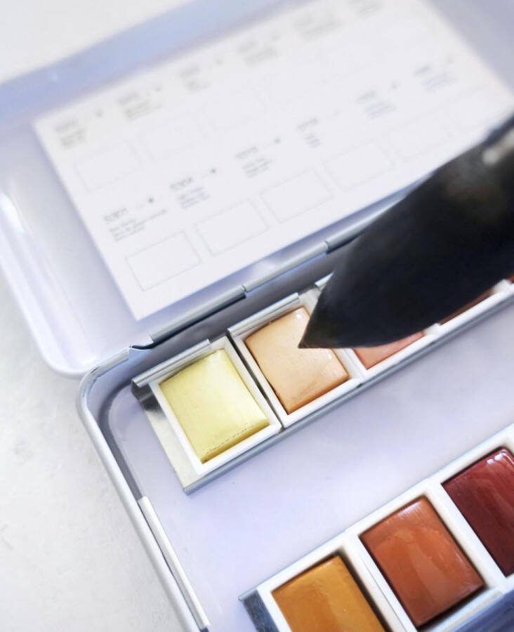 Phoenix Art Supplies Phoenix Aquarelverf Set van 12 halve napjes in metalen doos Skintone kleuren