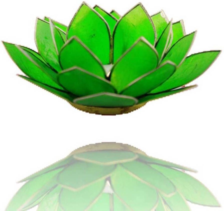 Phoenix Import Lotus sfeerlicht groen 4e chakra zilverrand 13.5 Schelp Groen Zilverkleurig