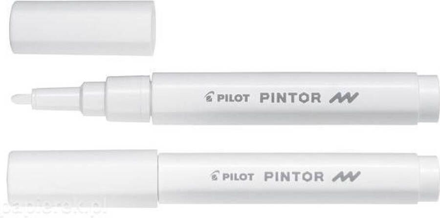 Pilot Pintor Witte Verfstift Fine 1.0mm schrijfbreedte Inkt op waterbasis per 6 verpakt