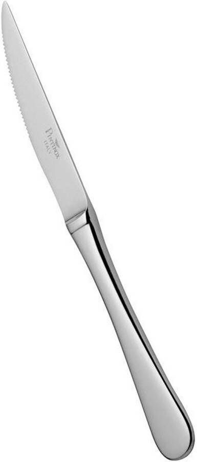 Pintinox professioneel steakmes lengte 25 cm