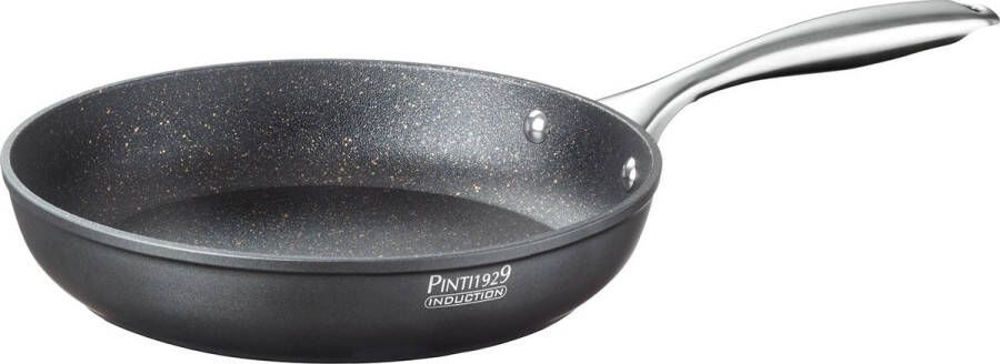 Pintinox ST1 braadpan uit aluminium en rvs 30cm
