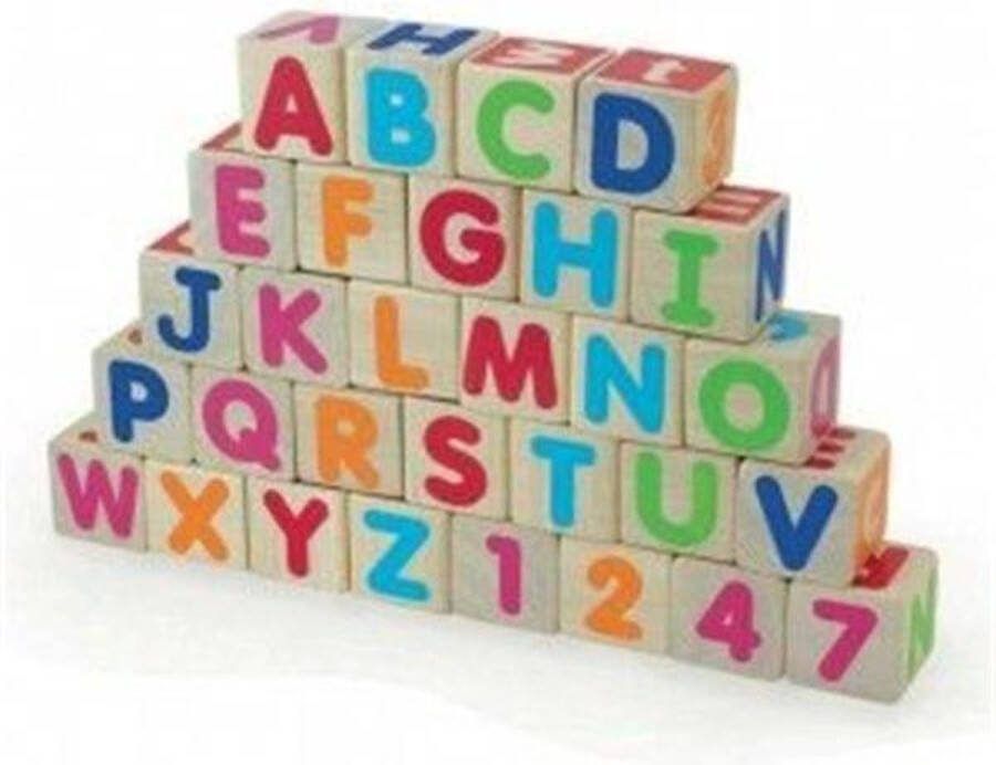 Pintoys Alfabet Blokken