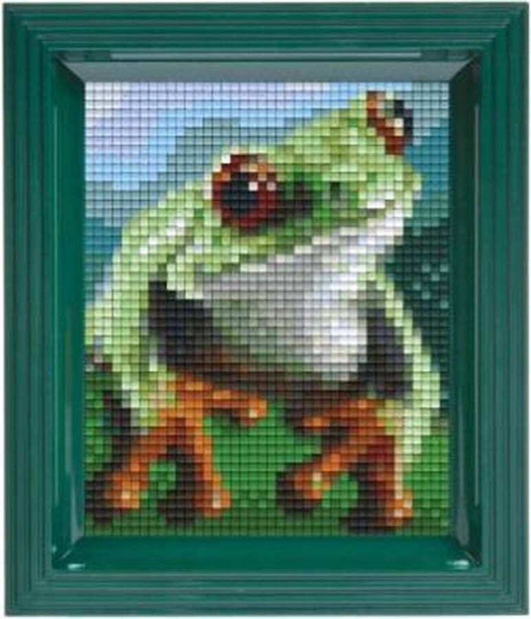 Pixel Hobby Pixelhobby Classic Kikker 10x12 cm