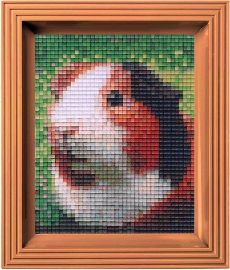 PIXELHOBBY Geschenkverpakking Cavia 31325