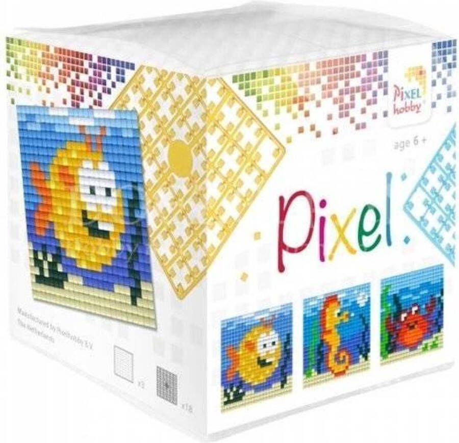 PIXELHOBBY Kubus Zeedieren