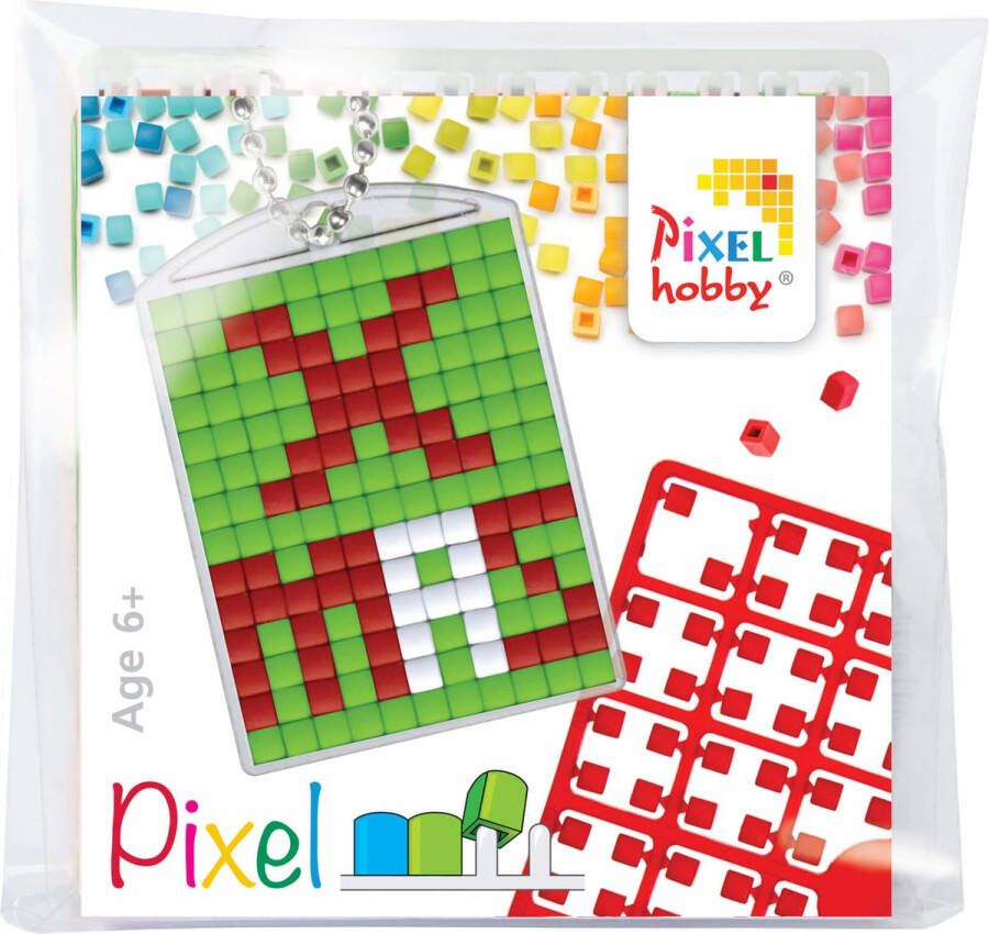 PIXELHOBBY Medaillon Startset X Mas 23058