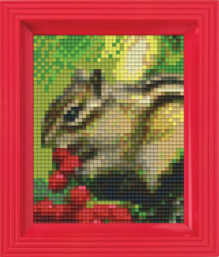PIXELHOBBY Pixel hobby geschenkverpakking Eekhoorn