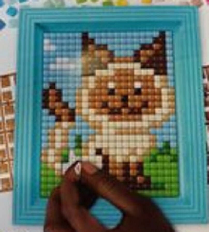 PIXELHOBBY Pixel Hobby XL Hobbypakket Grote pixel Kat