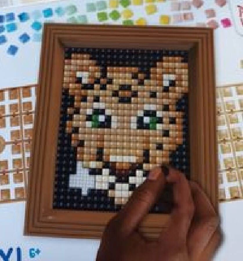PIXELHOBBY Pixel Hobby XL Hobbypakket Grote pixel Luipaard