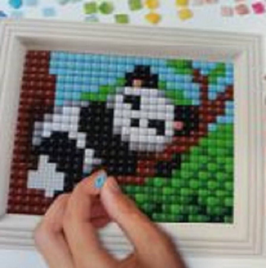 PIXELHOBBY Pixel Hobby XL Hobbypakket Grote pixel Panda