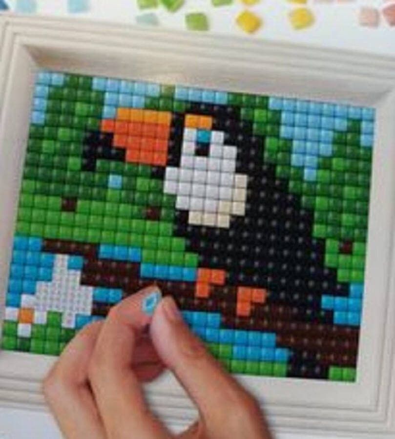 PIXELHOBBY Pixel Hobby XL Hobbypakket Grote pixel Toekan