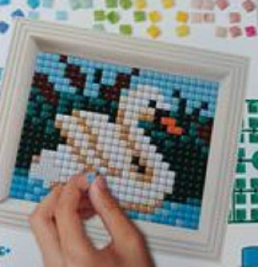 PIXELHOBBY Pixel Hobby XL Hobbypakket Grote pixel Zwaan