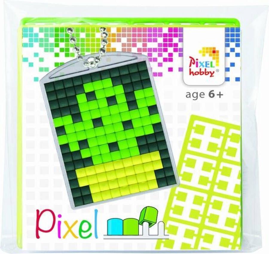 PIXELHOBBY Pixel | Medaillon | Sleutelhangerstartset Cactus