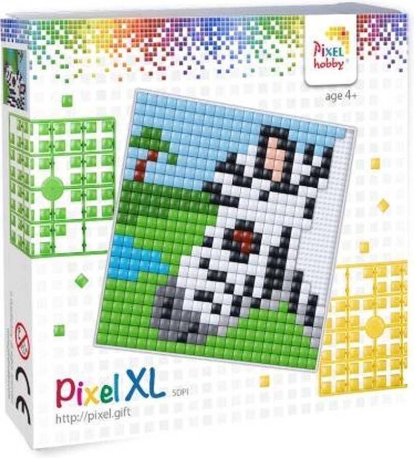 PIXELHOBBY Pixel XL set zebra