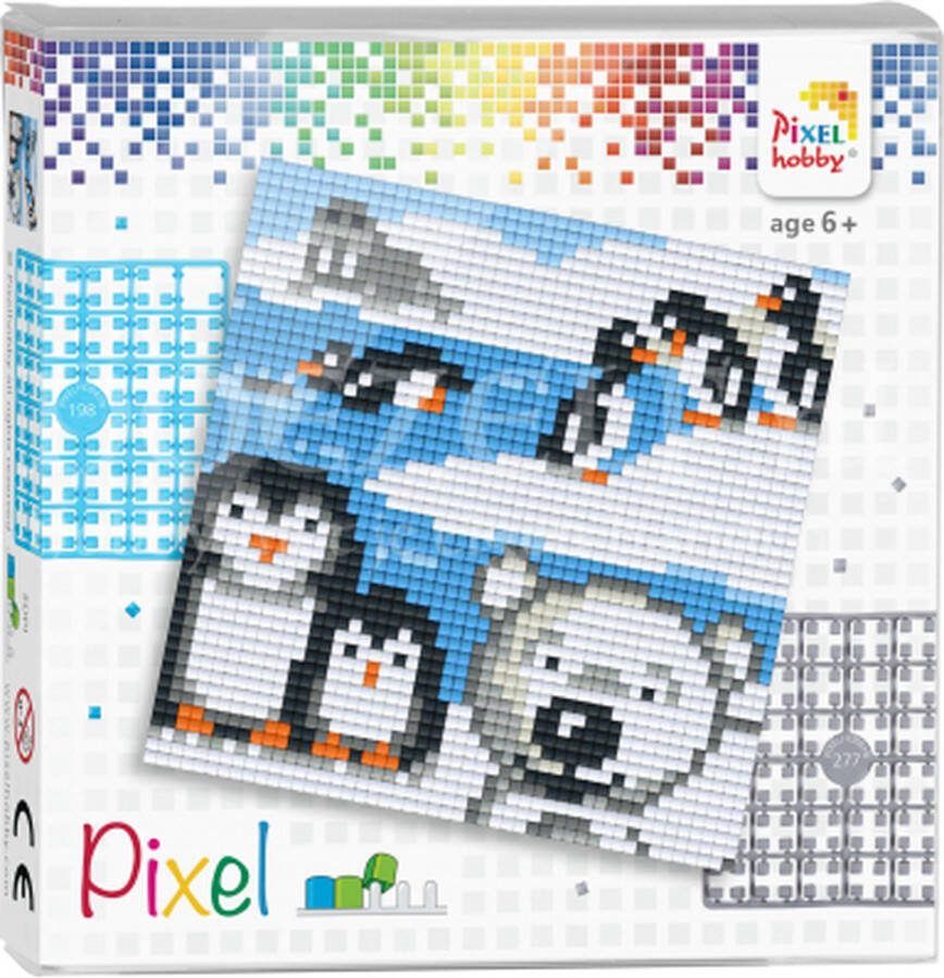 PIXELHOBBY set Noordpool dieren