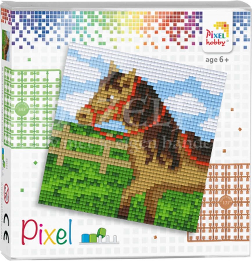 PIXELHOBBY set Paard