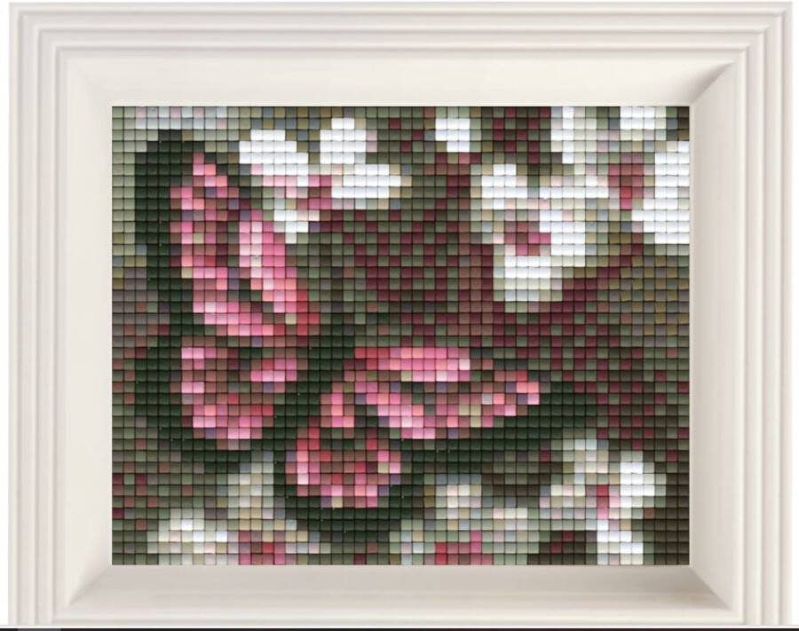 PIXELHOBBY set vlinder 31003