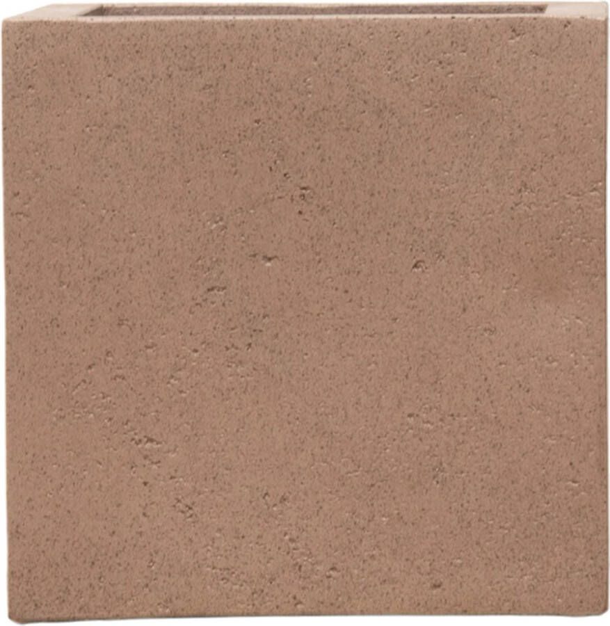 Planteda Olijfboom Olea Europaea Cultivo inclusief Grigio Cube Natural concrete 200cm