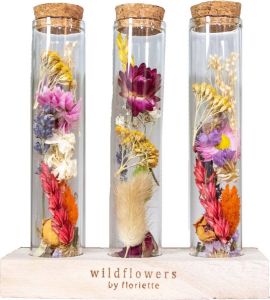 Plantophile 3x Droogbloemen in glas – Meerkleurig – Incl. fles – Maat L – ↕15 cm
