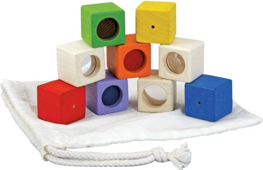 Plantoys Houten Speelgoed Activiteiten Blokken