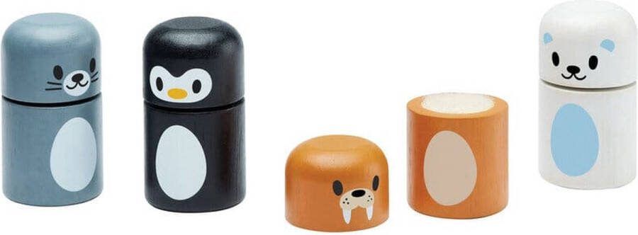 Plantoys Houten Speelgoed Arctische dieren matching