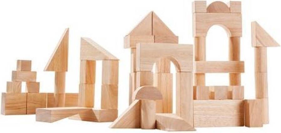 Plantoys Plan Toys 50 blanke houten blokken