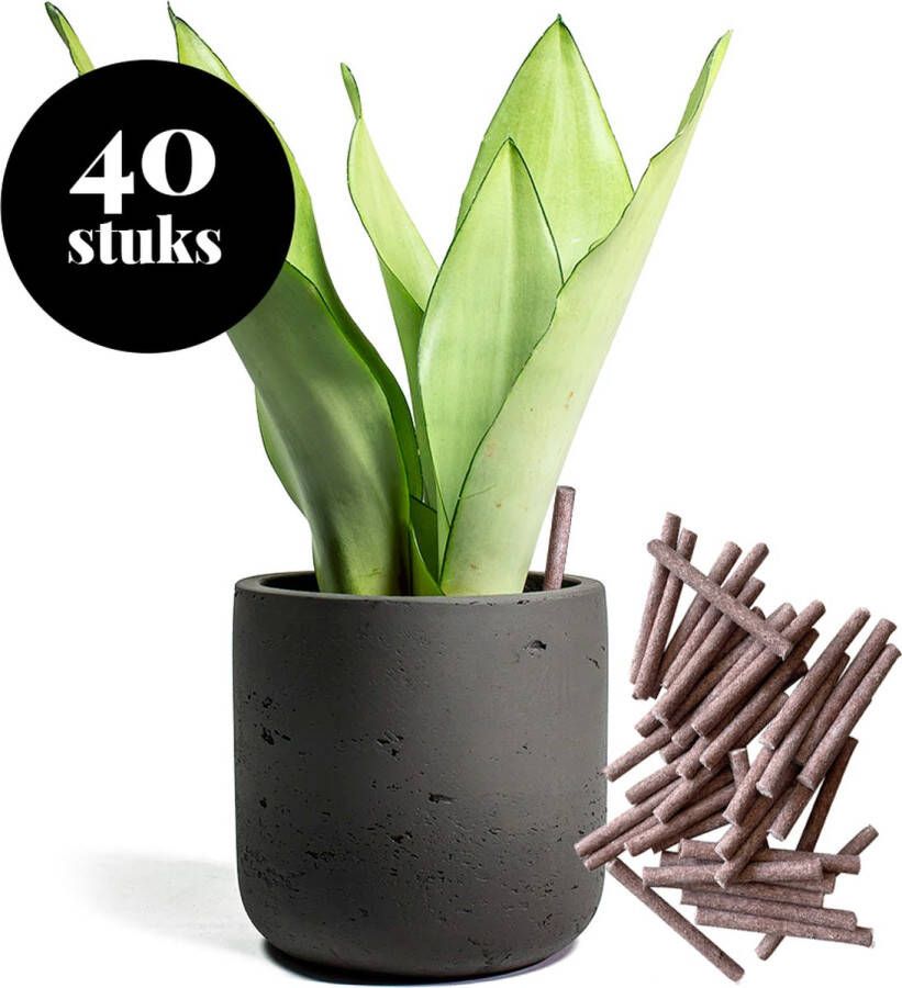 Planttools Meststaafjes 40 stuks Universele plantenvoeding Voor groene & bloeiende planten bemesten Meststokjes plantenvoedingstaafjes plantenstaafjes